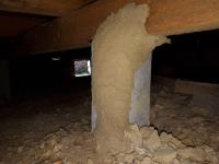 FRANKSTON & BAYSIDE TERMITE CONTROL image 4